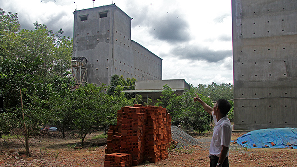 Bình Dương: Lộc trời 6 tỷ từ 6 con chim lạ sa vào nhà