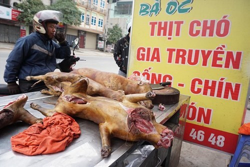 2021: Nội thành Hà Nội không còn bán thịt chó