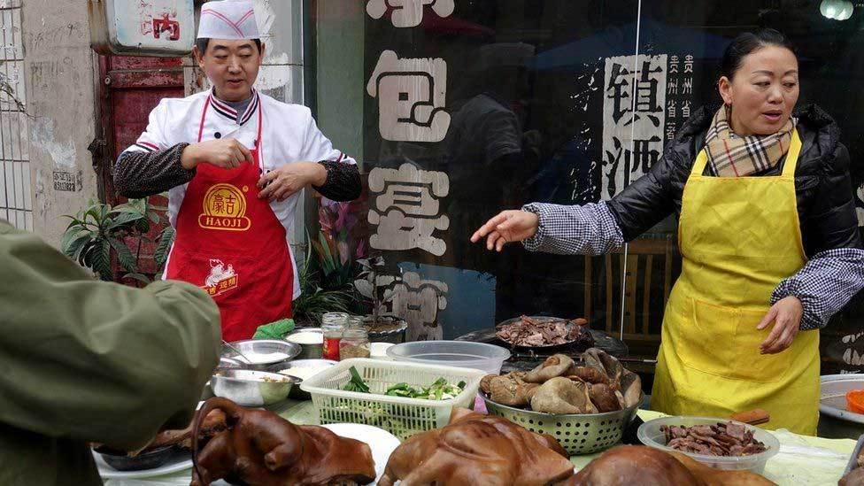 Nơi nào trên thế giới vẫn còn ăn thịt chó, mèo?