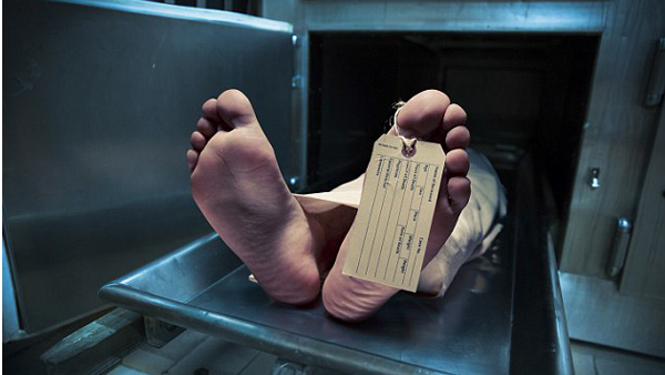 Nhận tạng hiến từ người phụ nữ, 3 người đều chết vì 'lây' ung thư vú