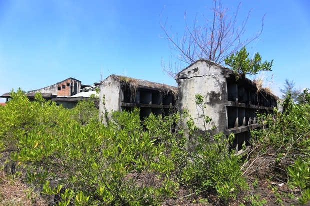 Chi 12 tỷ xây nhà hỏa táng cho cỏ mọc um tùm