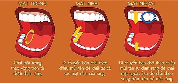 {title} Đánh răng sai cách là nguyên nhân gây ra nhiều bệnh ung thư