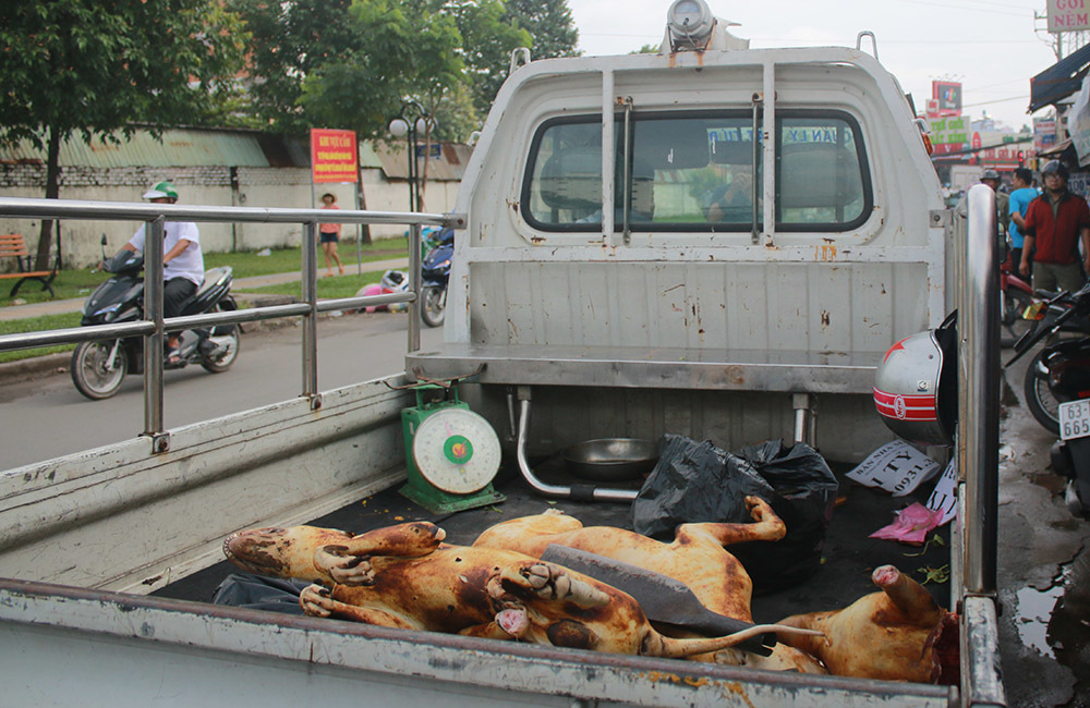Tiểu thương chợ thịt chó lớn nhất Sài Gòn bất ngờ ôm hàng bỏ chạy