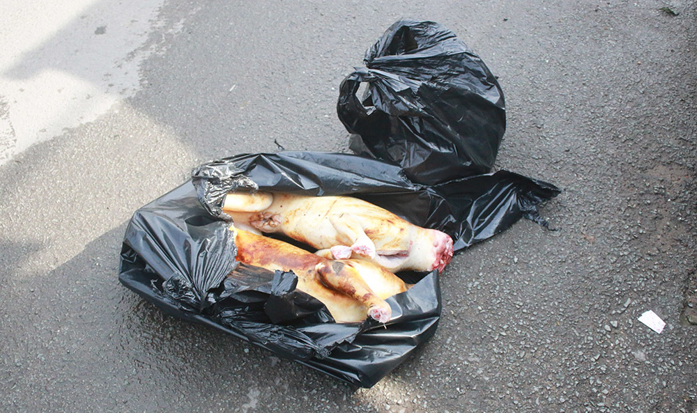 Tiểu thương ôm thịt chó chạy