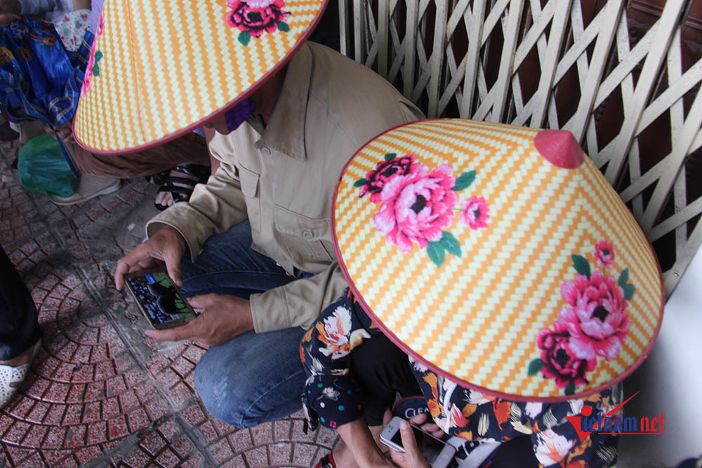 Vượt trăm km về Đồ Sơn, 'chầu rìa' xem chọi trâu qua điện thoại