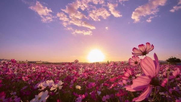 Tử vi 12 cung hoàng đạo ngày 20/9