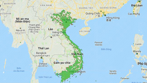 Việt Nam có thể học hỏi thế giới về cách triển khai 5G