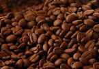 Giá cà phê hôm nay 21/9: Áp lực nguồn cung đè nặng giá