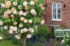 Cú sốc người mẹ trẻ sau phát hiện của con gái đầu lòng