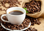 Giá cà phê hôm nay 1/10: Tăng 700 đồng/kg