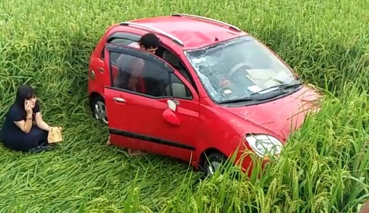 Ô tô con 'san phẳng' ruộng lúa ở Tuyên Quang