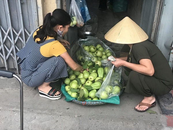 Bằng cách này, vợ chồng lão nông đều đặn thu 100 triệu đồng/tháng