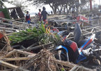 Indonesia tuyệt vọng tìm cứu các nạn nhân sóng thần