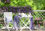 Hớn hở về ăn giỗ, nàng dâu bị cả nhà chồng chì chiết vì lý do bất ngờ