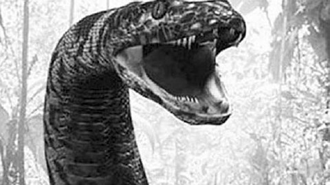 Huyền thoại về loài rắn khổng lồ trên hòn đảo có 99 ngọn núi