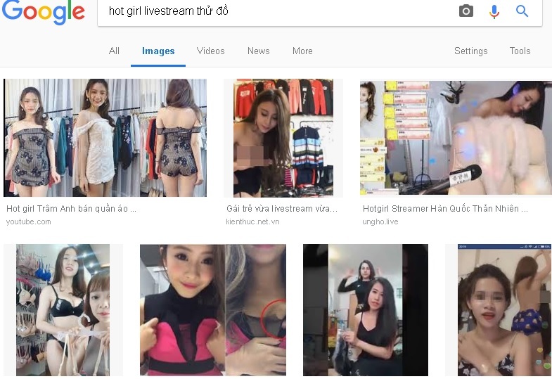 Vui buồn nghề 'lai chim'