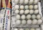Mang trứng vịt lộn vào Singapore, 1 phụ nữ Việt bị phạt 150 triệu