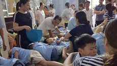 352 học sinh tiểu học bị ngộ độc nghi do ăn ruốc gà