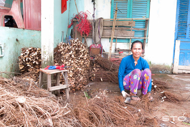 Loài cây kỳ lạ: Thả xuống ao vạn con cá say bí tỷ