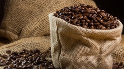 Giá cà phê hôm nay 13/11: Giao dịch trầm lắng Giá cà phê hôm nay 13/11: Giao dịch trầm lắng