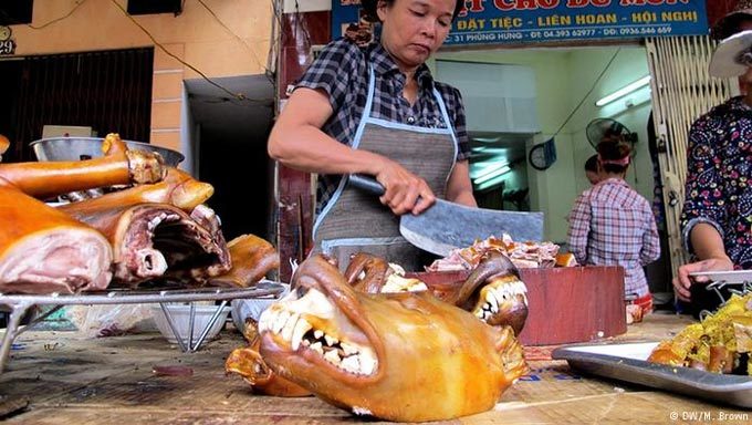 Báo Đức viết về 'văn hóa ăn thịt chó' ở Việt Nam