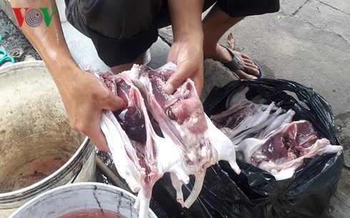 Đặc sản thịt chuột: Món ngon lạ miệng, ẩn họa khôn lường