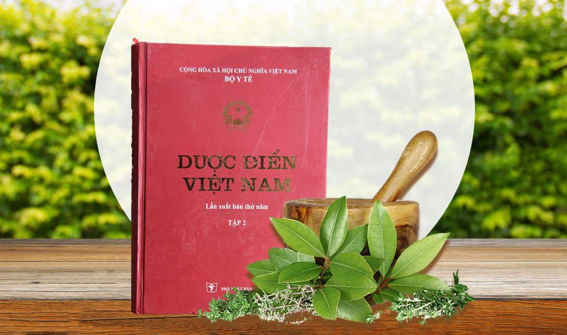 Cây quý trị tiểu đường ‘ghi danh’ vào dược điển Việt Nam