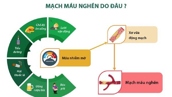 Công dụng thông huyết mạch của tinh dầu thông đỏ