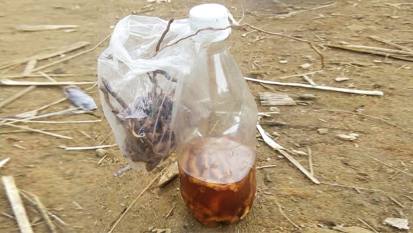 Chai rượu khiến hai cậu cháu tử vong ở Quảng Nam: Có độc tố từ cây lá ngón