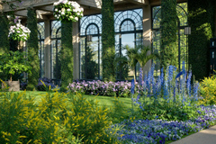 Cuộc tình ngã ngũ khi bố chồng tỏ tình với con dâu tương lai