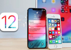 Hơn 50% iPhone, iPad đã được nâng cấp lên iOS 12