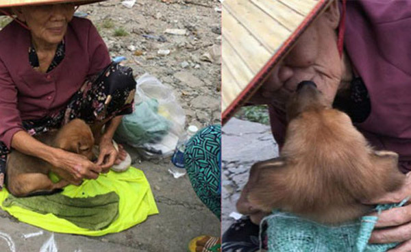 Nụ hôn từ biệt của cụ già và chú chó nhỏ: Câu chuyện không ai cầm được nước mắt giữa phố Sài Gòn