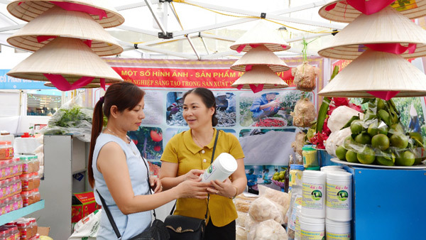 ‘Chắp cánh đam mê’ cho 1 triệu phụ nữ Việt khởi nghiệp