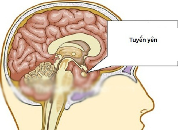 Con gái 12 tuổi, bất ổn vì bị sàm sỡ