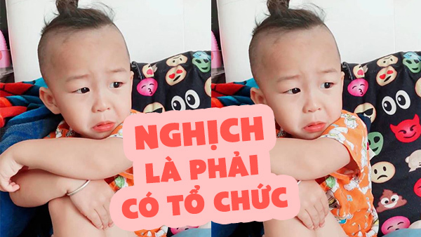Không thể nhịn cười với trò nghịch cùng đàn chó của chú bé Marcus