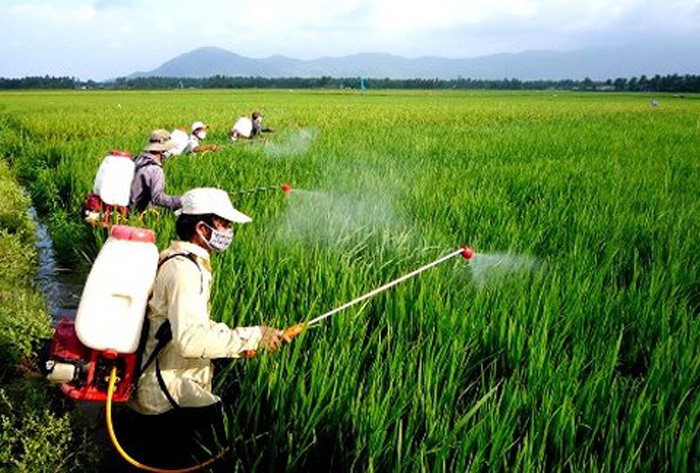 Thói quen dân Việt: Dính tới hàng Tàu, mang tiếng toàn cầu