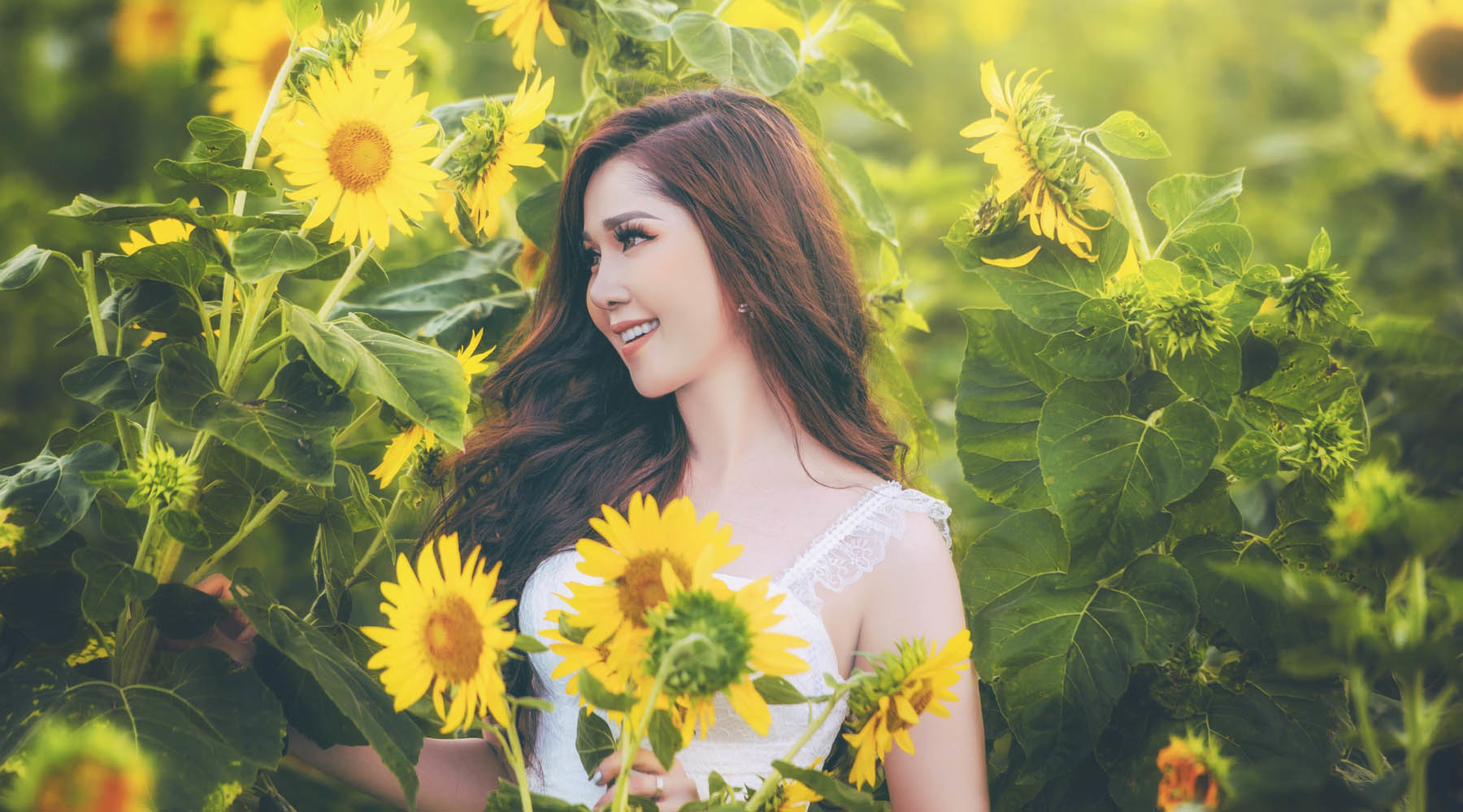 Hot girl Cần Thơ tung ảnh xinh đẹp giữa 'rừng' hoa hướng dương