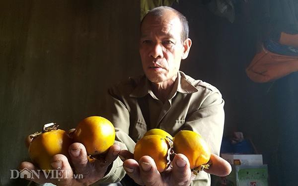'Cãi vợ' đổi nhà lấy đồi rậm rạp, lão gàn vùng biên giờ 'sống khoẻ'