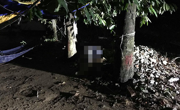 Nam thanh niên chết bí ẩn dưới gốc cây ở Sài Gòn