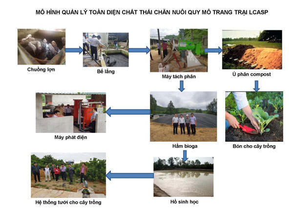Mang giải pháp xử lý chất thải chăn nuôi đến nông dân Việt