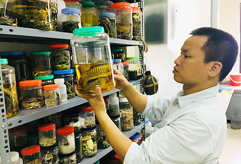 Vị tiến sĩ có thể ngửi mùi rắn đang ở gần mình