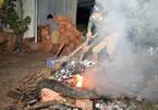 Nam thanh niên tử vong nghi do trăn quấn