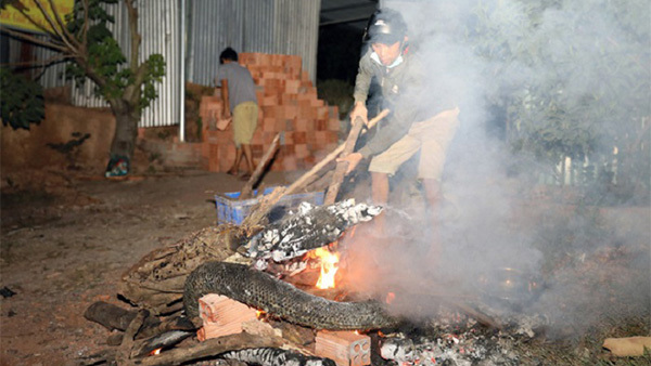 Nam thanh niên tử vong nghi do trăn quấn