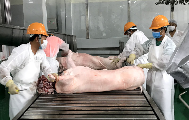 ‘Soi kính hiển vi' mới thấy Việt Nam xuất khẩu một ít lợn sữa, trứng muối