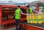 Ném hành lý của khách ở Tân Sơn Nhất, 2 nhân viên bị sa thải