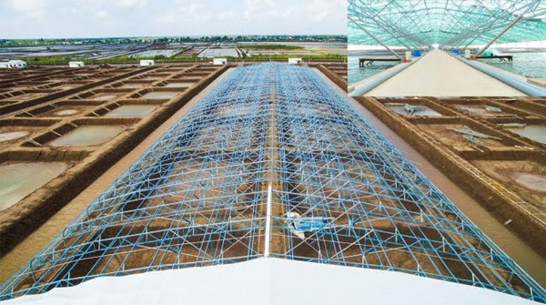 Tạo đà cho nông nghiệp công nghệ cao cất cánh