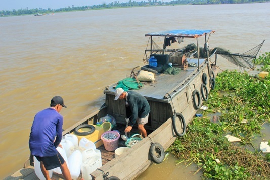 Lời chứng của một nô lệ tình dục từ năm 11 tuổi