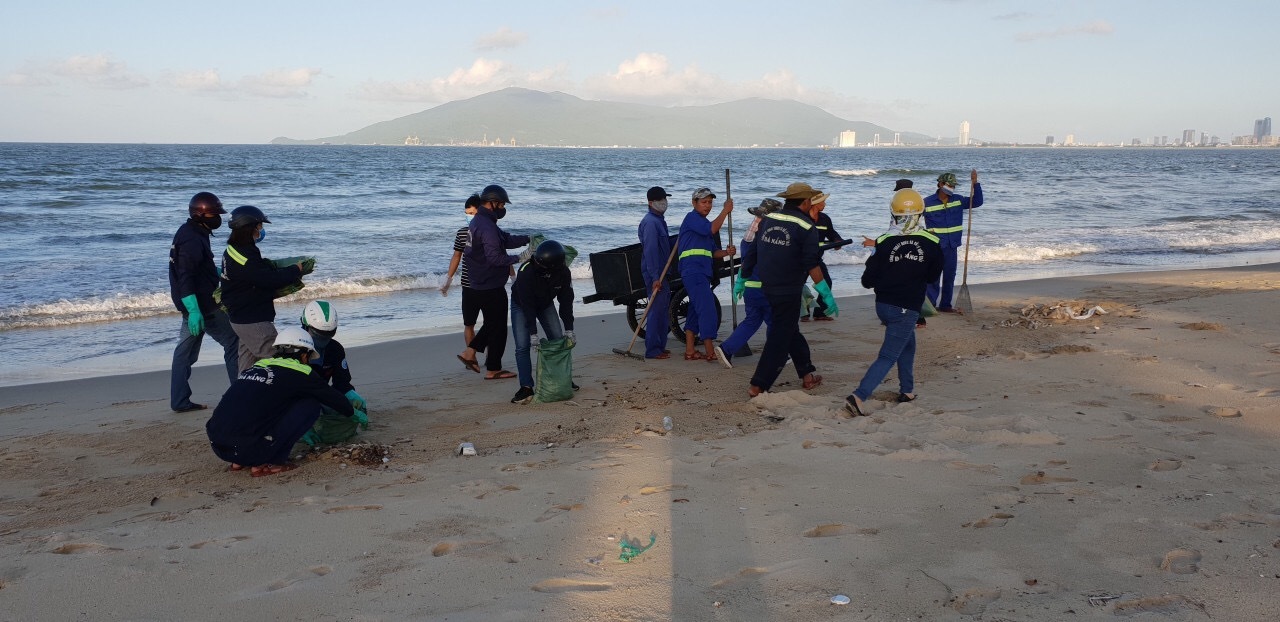 '. Đà Nẵng: Cá chết hàng loạt dạt bờ dài hơn 1km .'