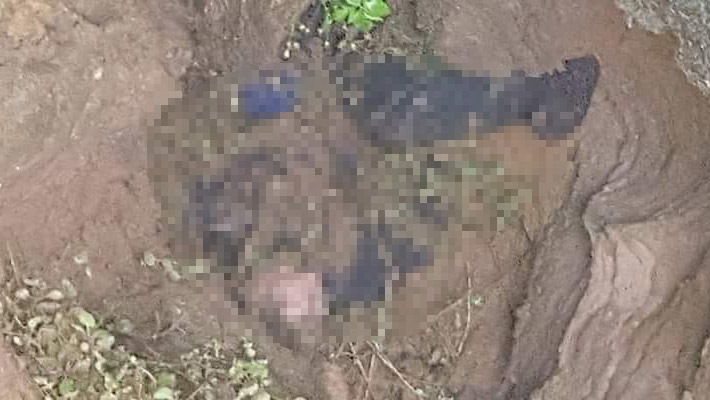 Con gái bàng hoàng thấy thi thể bố trong hố sâu gần nhà