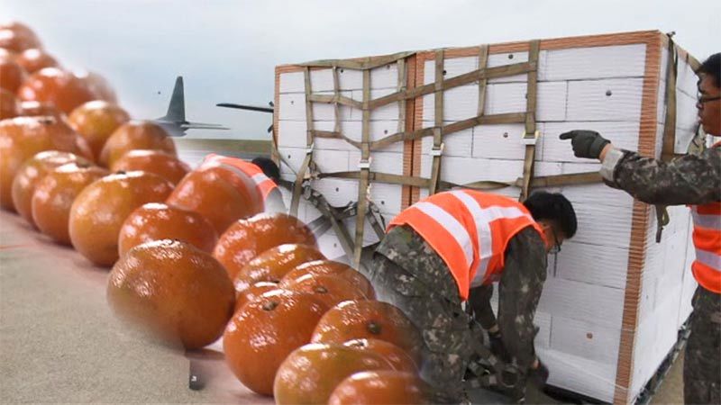 Thế giới 24h: Quà đặc biệt Hàn Quốc gửi Triều Tiên